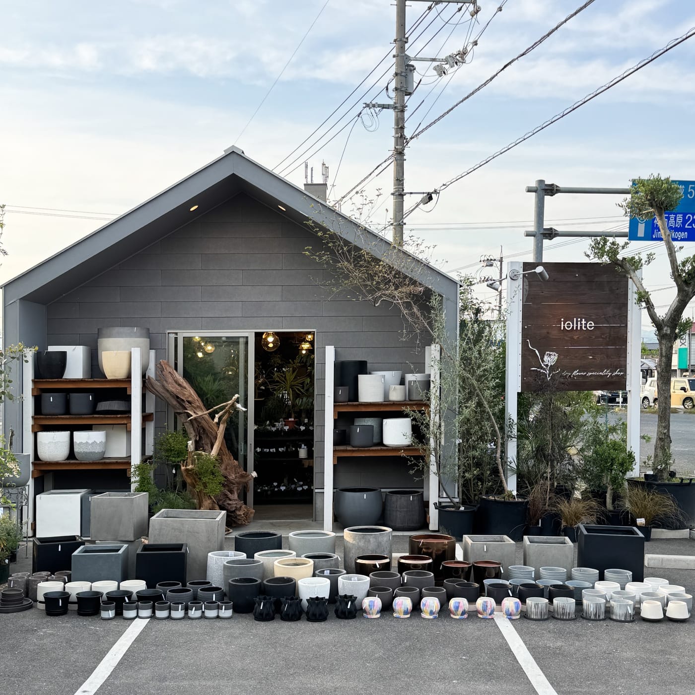 鉢と植物が並ぶiolite PLANTSの店頭